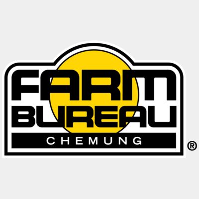 NYFB: Chemung - Black Thumbnail