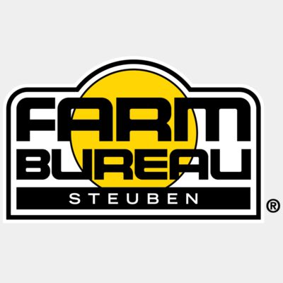 NYFB: Steuben - Black Thumbnail